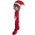 adult santa boy Christmas elf mascot costume