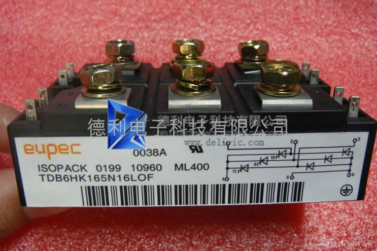 MODULE TDB6HK165N16LOF