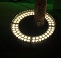 LED照樹燈抱柱燈草坪燈射燈