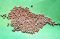 Pd A Molecular Sieve(105 Catalyst)