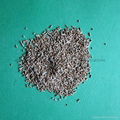 Cu-X Molecular Sieve 2