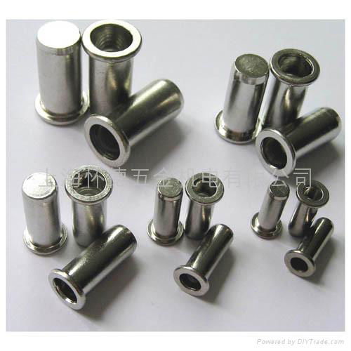 Blind Rivet Nut 4