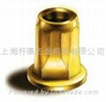 BLIND RIVET NUT