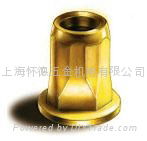 Blind Rivet Nut