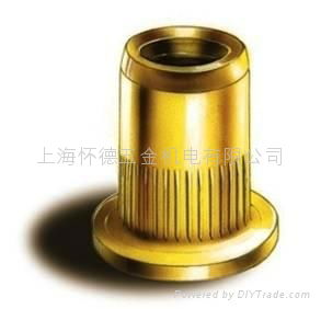 Blind Rivet Nut 3