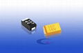 Chip Tantalum Capacitors   CA45L