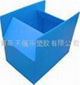 PP Plastic Folding Container/Box