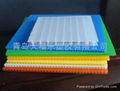 PP Plastic Twin Wall Sheet 2