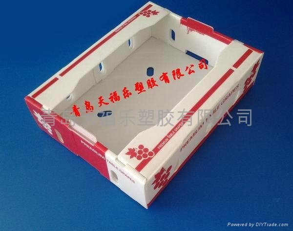 PP Plastic Corrugated Box for Grape 2