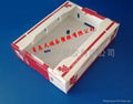 PP Plastic Corrugated Box for Grape