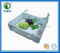 PP Plastic Corrugated Box for Grape