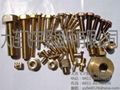 brass bolt 1