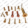 SILICON BRONZE SCREW 3