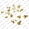 SILICON BRONZE SCREW 5