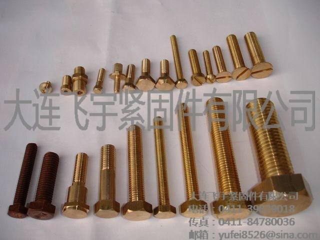 copper screw 2