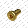 brass hex socket screw