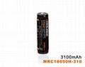 Panasonic 18650 3100mAh with Protected 1