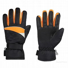 Leather Dressing Gloves