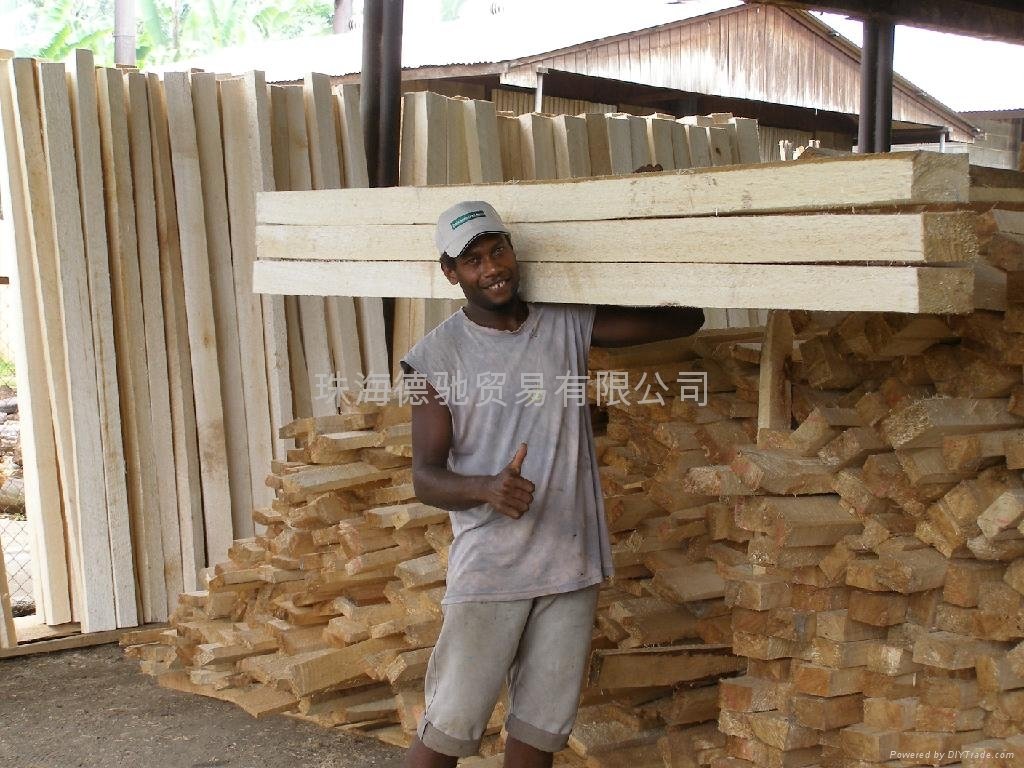 珠海德馳輕木貿易有限公司