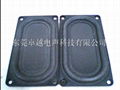 5090 flat panel speaker