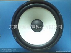 8-inch selvage speaker