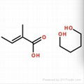 1,4-Butanedioldimethacrylate 1