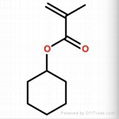 Cyclohexyl methacrylate