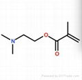 N,N-dimethyla-minoethyl methacrylate