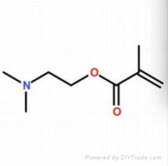 N,N-dimethyla-minoethyl methacrylate