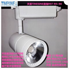 Adjustable LED downlight  R9>90 Ra or