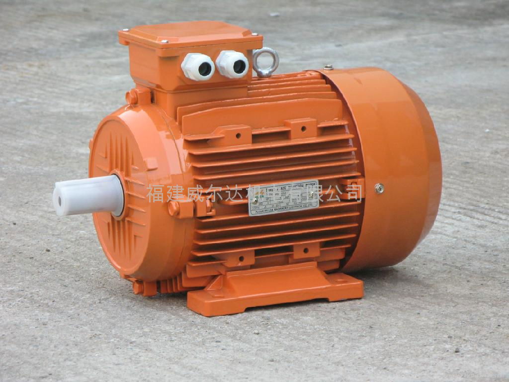 Aluminum-MS series three-phase asynchronous motor 2