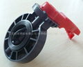 Butterfly valve 1