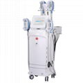 360 Angle Cryolipolysis Fat Freezing/Cellulite Reducing Machine