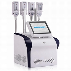 2024 Plate Cryo Lipolyse with EMS+Radio Frequency for Weight Loss