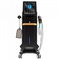 Hifes+Mono-Polar RF EMRF for Wrinkle Removal Skin Rejuvenation 3
