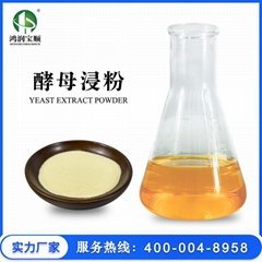 Yeast Extract Powder 