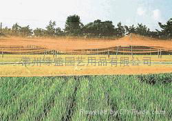 Rice breeding bird net 2