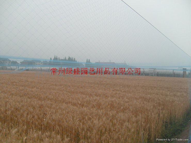 水稻育種防鳥網 3