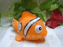 桔色小丑鱼