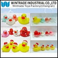 Flashing Bath Duck Family Set 1