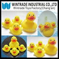 Flashing Bath Duck Family Set 2