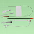 Introducer Sheath 2