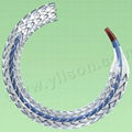 Sirolimus Eluting Coronary Stent system 1