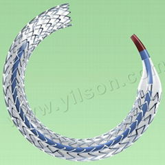 Sirolimus Eluting Coronary Stent system