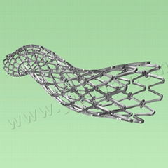 Cobalt-Chromium Coronary Stent System