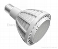 35W PAR30 LED BULB