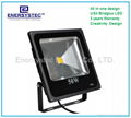 50W LED Flood lights meanwell driver