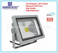 30W LED Floodlights COB Samsung LED Outdoor 100-240v