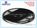 12V LED Strip Light China Manufacturer SMD2835 