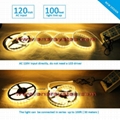 120V Flexible LED Strip Light, Dimmable by Wall Triac Dimmer, No Need LED Driver 4